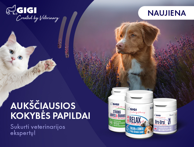 GIGI papildai