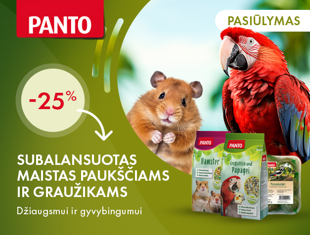 PANTO maistas
