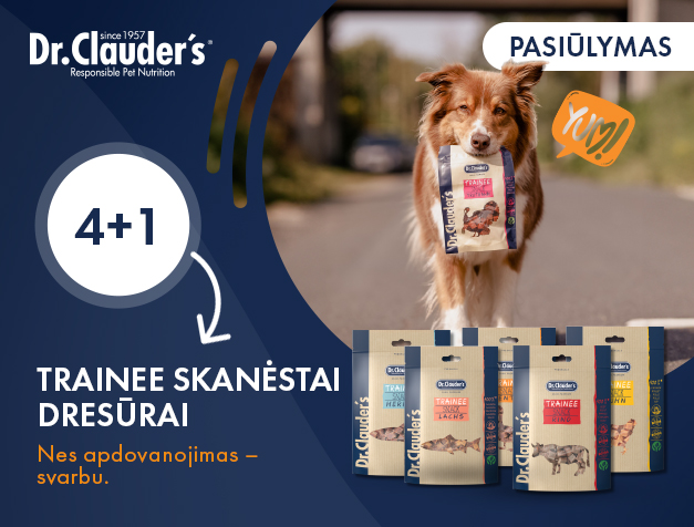 Trainee skanėstai 4+1
