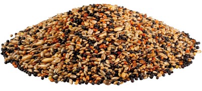 PANTO Kanarienfutter kanarėlių lesalas 1 kg
