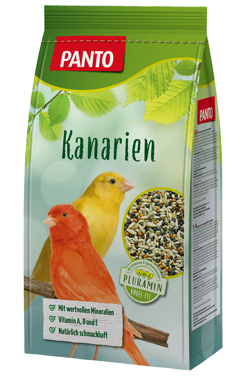 PANTO Kanarienfutter kanarėlių lesalas 1 kg