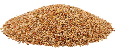PANTO Exotenfutter mit egzotinių paukščių lesalas 1kg