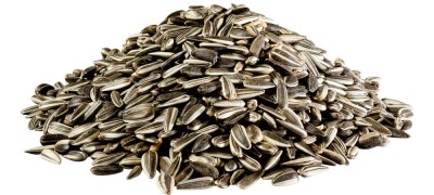 PANTO Sonnenblumenkerne dryžuotos saulėgrąžos 1-2,5 kg