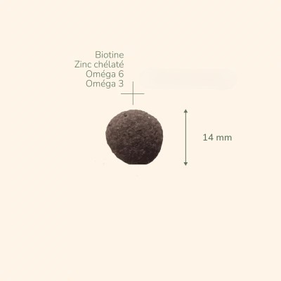 PRO-NUTRITION PURE LIFE MEDIUM SALMON, sausas maistas jautriam virškinimui su lašiša šunims, 12kg PRO-NUTRITION PURE LIFE MEDIUM SALMON, sausas maistas jautriam virškinimui su lašiša šunims, 12kg